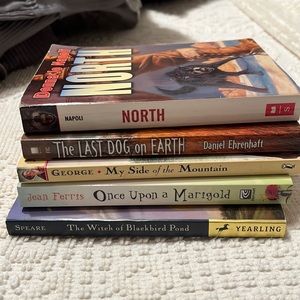 Bundle of young adult adventure books